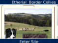 etherialbordercollies.com