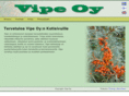 vipeoy.com