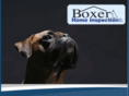 boxerhomeinspection.com