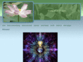 collectivevision.org