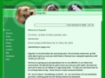 dogvillegrooming.com