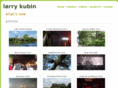 larrykubin.com