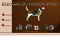 museau-d-or.com