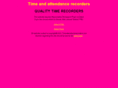 timeattendancerecorders.com