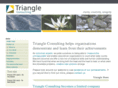 triangleconsulting.co.uk