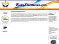 bodyelectrician.com