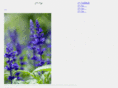 ceworld.org