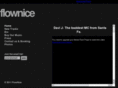 flownice.com