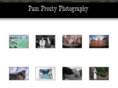 pamprouty.com