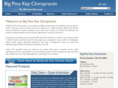 bigpinekeychiropractic.com