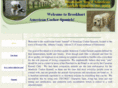 brookhartcockerspaniels.com