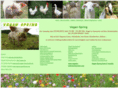 vegan-spring.de