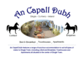 ancapalldubh.com