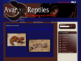 avangelgeckos.com