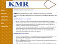 kmrinsights.com