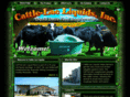 liquidcattlefeed.com