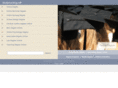studynursing.net