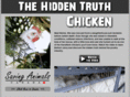 the-hidden-truth.com