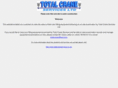 totalcraneinspections.com