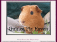 guineapighaven.com