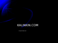 kalinkin.com