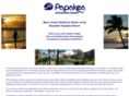 mauipapakearentals.com