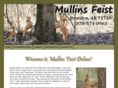 mullinsfeist.com