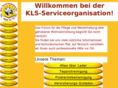 serviceorga.com