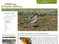 abiyethiopianbirding.com