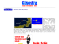 ginostrabb.com