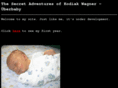 kodiakwagner.com
