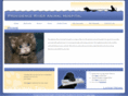 providenceriveranimalhospital.com