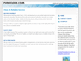 purecleen.com