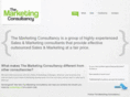 the-marketing-consultant.com