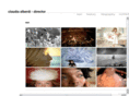 claudiaalberdi.com