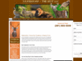 deertaxidermy.net