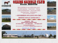 ozarksaddleclub.com