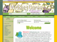 writingcareer.com