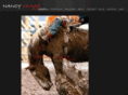 nancycrase.com