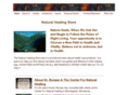 naturalhealingstore.com
