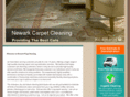 newarkrugcleaning.com