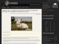 noyandex.net
