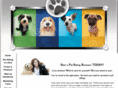 petsittinginstitute.com