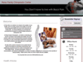 reisschiro.com