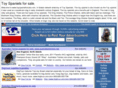 toyspanielforsale.com