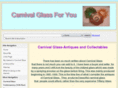 carnivalglass4u.com