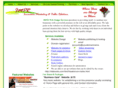 imprwebhosting.com