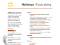 molineuxfundraising.com