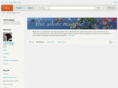 thesilvermagpie.com