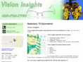 visioninsightsnederland.com